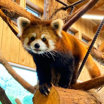 伊豆シャボテン動物公園に投稿された画像（2022/5/9）