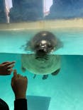下田海中水族館に投稿された画像（2022/5/9）