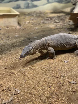 天王寺動物園に投稿された画像（2022/5/9）