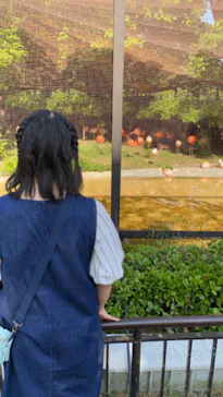 天王寺動物園に投稿された画像（2022/5/9）