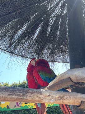 長崎バイオパークに投稿された画像（2022/5/9）