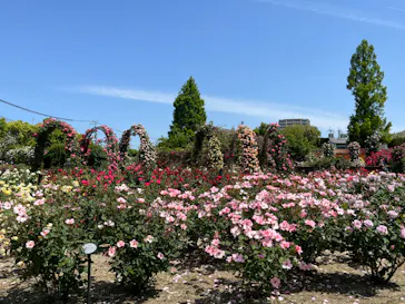 ひらかたパークに投稿された画像（2022/5/9）