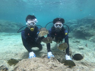 武藤潜水に投稿された画像（2022/5/9）