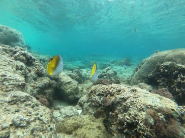 武藤潜水に投稿された画像（2022/5/9）