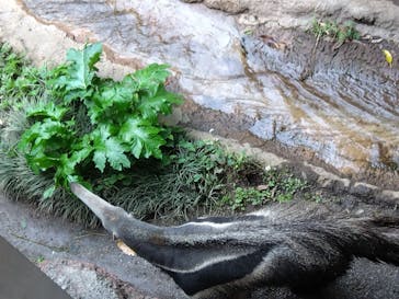 よこはま動物園ズーラシアに投稿された画像（2022/5/9）