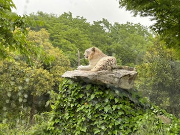 群馬サファリパークに投稿された画像（2022/5/9）