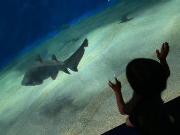 アクアワールド茨城県大洗水族館に投稿された画像（2022/5/9）