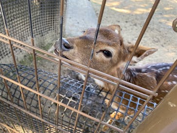 東武動物公園に投稿された画像（2022/5/9）