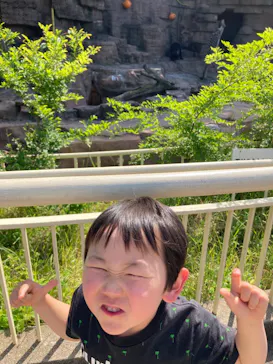 天王寺動物園に投稿された画像（2022/5/9）