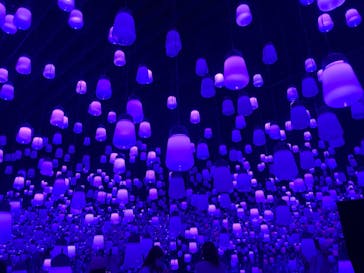 森ビル デジタルアート ミュージアム：エプソン チームラボボーダレスに投稿された画像（2022/5/9）