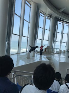 アクアワールド茨城県大洗水族館に投稿された画像（2022/5/9）