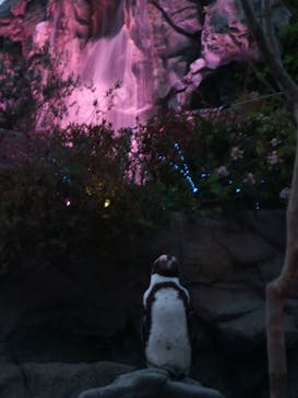 サンシャイン水族館に投稿された画像（2022/5/9）