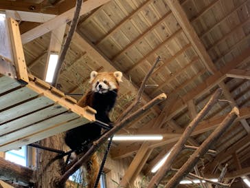 伊豆シャボテン動物公園に投稿された画像（2022/4/23）