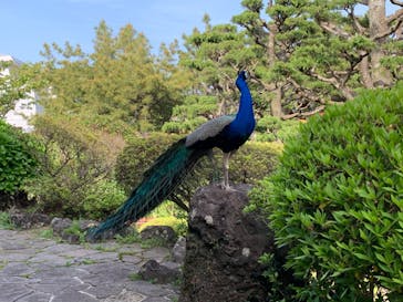 伊豆シャボテン動物公園に投稿された画像（2022/4/23）