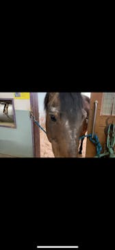 牧歌の里に投稿された画像（2022/5/9）