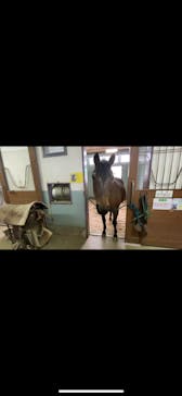 牧歌の里に投稿された画像（2022/5/9）