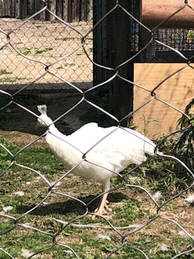 東武動物公園に投稿された画像（2022/5/9）