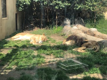 東武動物公園に投稿された画像（2022/5/9）