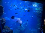 京都水族館に投稿された画像（2022/5/9）