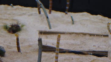 京都水族館×ニデック京都タワーに投稿された画像（2022/5/9）