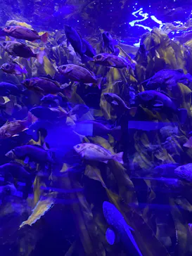 横浜・八景島シーパラダイスに投稿された画像（2022/5/9）