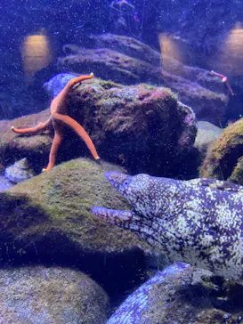 横浜・八景島シーパラダイスに投稿された画像（2022/5/9）