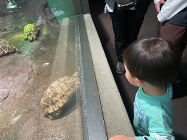 サンシャイン水族館に投稿された画像（2022/5/9）