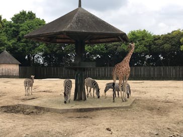 東武動物公園に投稿された画像（2022/5/9）