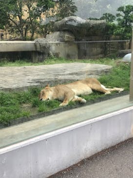 東武動物公園に投稿された画像（2022/5/9）