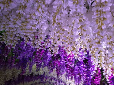 東京サマーランドに投稿された画像（2022/5/9）