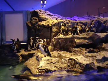 すみだ水族館に投稿された画像（2022/5/9）