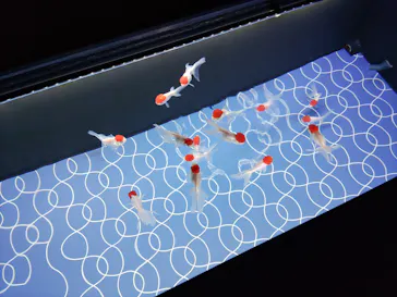 すみだ水族館に投稿された画像（2022/5/9）