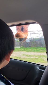 那須サファリパークに投稿された画像（2022/5/9）