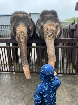 那須サファリパークに投稿された画像（2022/5/9）