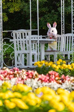 安城産業文化公園デンパークに投稿された画像（2022/5/9）