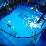 アクアワールド茨城県大洗水族館に投稿された画像（2022/5/9）