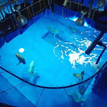 アクアワールド茨城県大洗水族館に投稿された画像（2022/5/9）