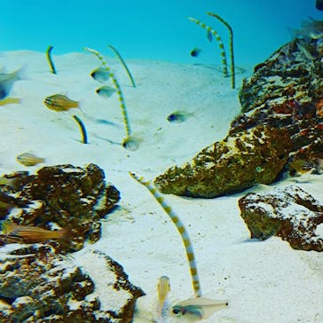 アクアワールド茨城県大洗水族館に投稿された画像（2022/5/9）