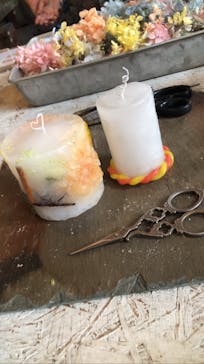 ドライフラワーと暮らしのお店 その灯ぐらし 猫洞店に投稿された画像（2022/5/9）