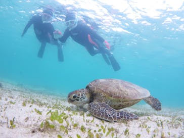 アマミエンシスに投稿された画像（2022/5/9）