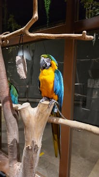 Moff animal world MARK IS みなとみらい店に投稿された画像（2022/5/9）