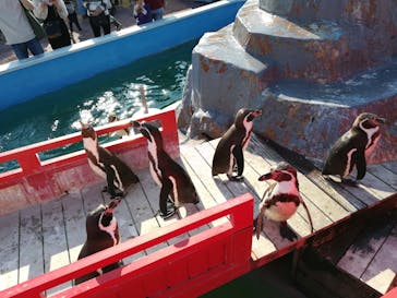 南知多ビーチランド＆南知多おもちゃ王国に投稿された画像（2022/5/9）