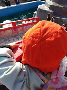 南知多ビーチランド＆南知多おもちゃ王国に投稿された画像（2022/5/9）