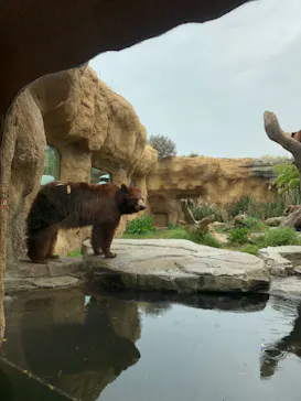 神戸どうぶつ王国に投稿された画像（2022/5/9）