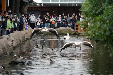 神戸どうぶつ王国に投稿された画像（2022/5/9）