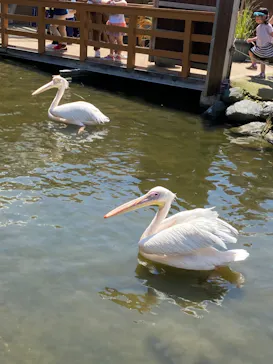 神戸どうぶつ王国に投稿された画像（2022/5/9）