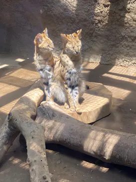 神戸どうぶつ王国に投稿された画像（2022/5/9）