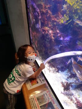 島根県立 しまね海洋館に投稿された画像（2022/5/10）