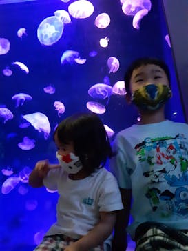 島根県立 しまね海洋館に投稿された画像（2022/5/10）