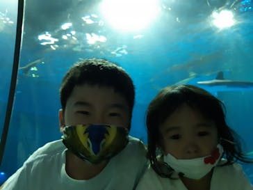 島根県立 しまね海洋館に投稿された画像（2022/5/10）